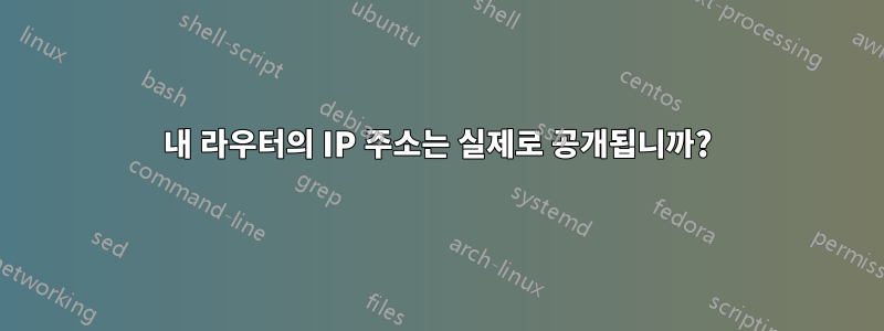 내 라우터의 IP 주소는 실제로 공개됩니까?