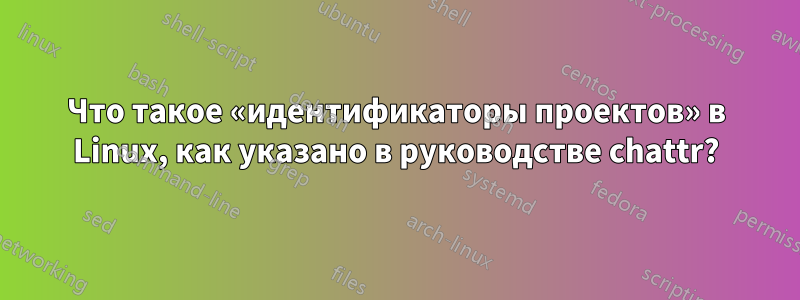 Что такое «идентификаторы проектов» в Linux, как указано в руководстве chattr?
