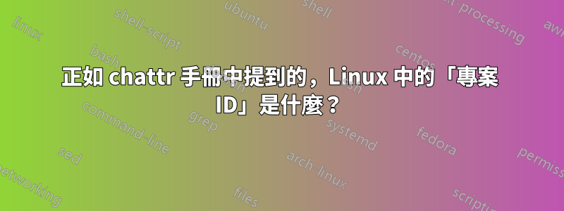 正如 chattr 手冊中提到的，Linux 中的「專案 ID」是什麼？