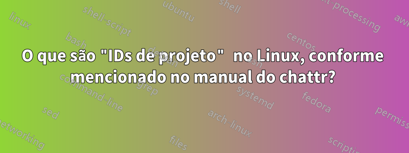 O que são "IDs de projeto" no Linux, conforme mencionado no manual do chattr?