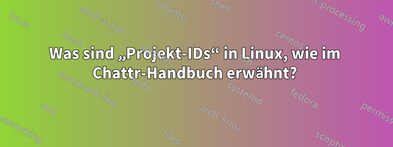 Was sind „Projekt-IDs“ in Linux, wie im Chattr-Handbuch erwähnt?