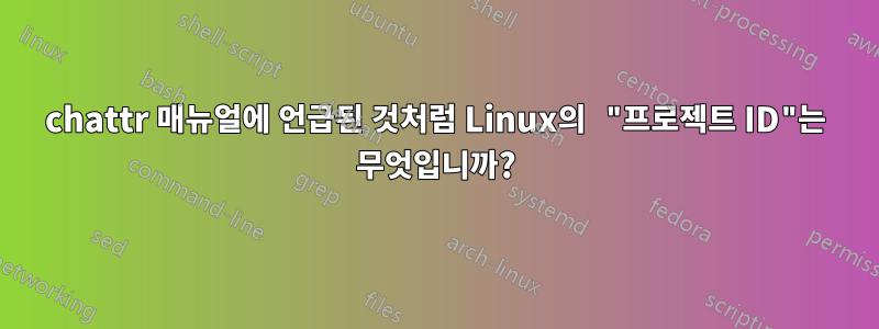chattr 매뉴얼에 언급된 것처럼 Linux의 "프로젝트 ID"는 무엇입니까?