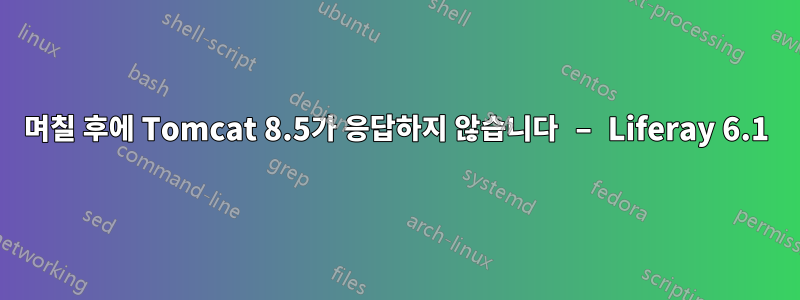 며칠 후에 Tomcat 8.5가 응답하지 않습니다 – Liferay 6.1