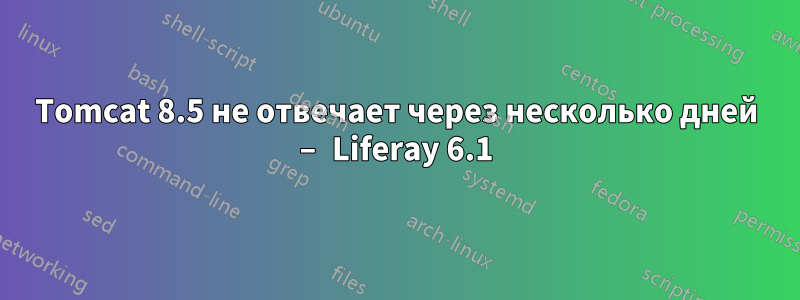 Tomcat 8.5 не отвечает через несколько дней – Liferay 6.1