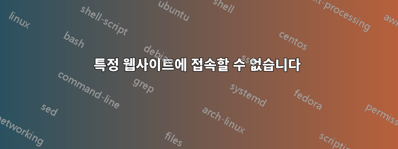 특정 웹사이트에 접속할 수 없습니다