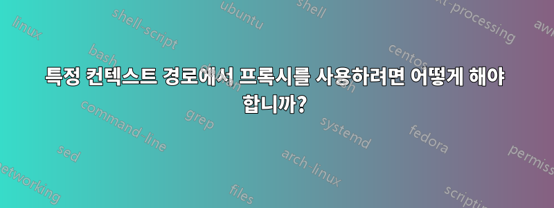특정 컨텍스트 경로에서 프록시를 사용하려면 어떻게 해야 합니까?