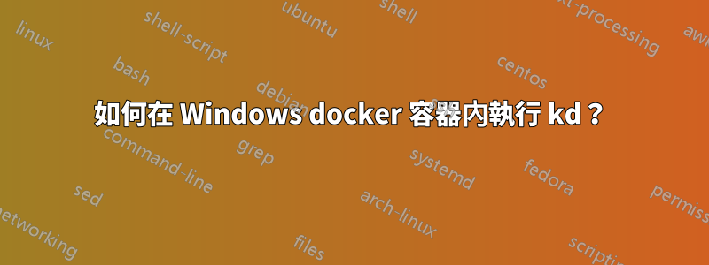 如何在 Windows docker 容器內執行 kd？