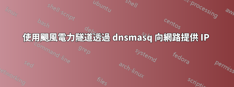 使用颶風電力隧道透過 dnsmasq 向網路提供 IP