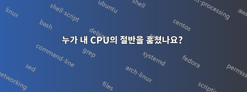 누가 내 CPU의 절반을 훔쳤나요?