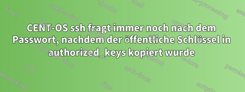 CENT-OS ssh fragt immer noch nach dem Passwort, nachdem der öffentliche Schlüssel in authorized_keys kopiert wurde