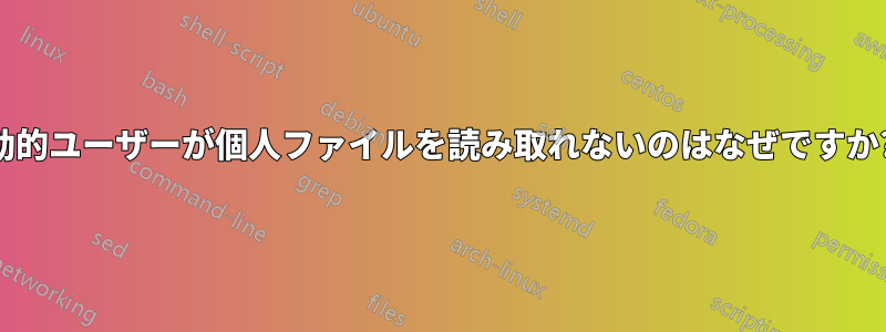 動的ユーザーが個人ファイルを読み取れないのはなぜですか?