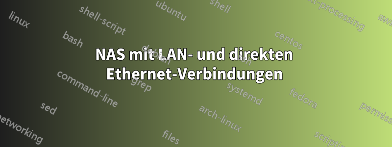 NAS mit LAN- und direkten Ethernet-Verbindungen