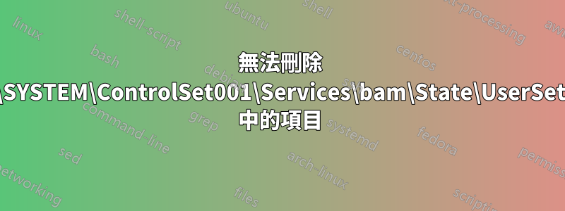 無法刪除 HKLM\SYSTEM\ControlSet001\Services\bam\State\UserSettings\ 中的項目