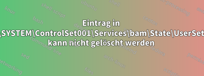 Eintrag in HKLM\SYSTEM\ControlSet001\Services\bam\State\UserSettings\ kann nicht gelöscht werden