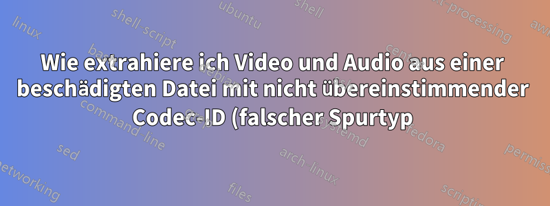 Wie extrahiere ich Video und Audio aus einer beschädigten Datei mit nicht übereinstimmender Codec-ID (falscher Spurtyp)?