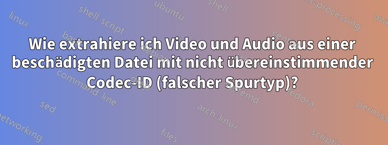 Wie extrahiere ich Video und Audio aus einer beschädigten Datei mit nicht übereinstimmender Codec-ID (falscher Spurtyp)?