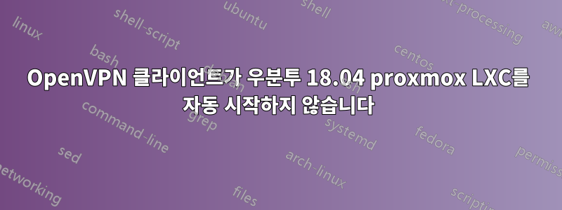 OpenVPN 클라이언트가 우분투 18.04 proxmox LXC를 자동 시작하지 않습니다