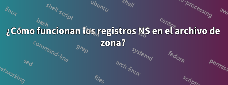 ¿Cómo funcionan los registros NS en el archivo de zona?