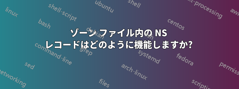 ゾーン ファイル内の NS レコードはどのように機能しますか?