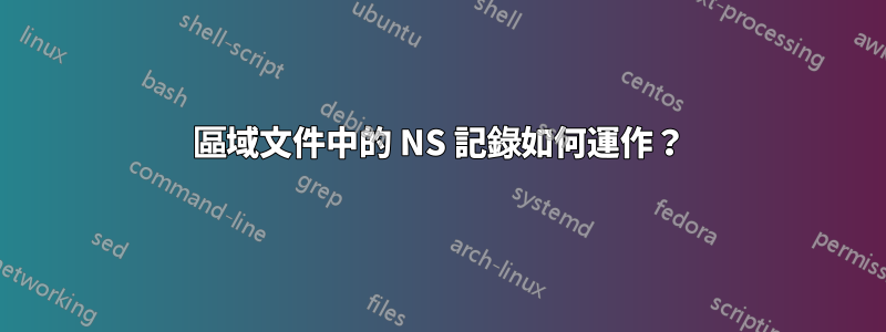 區域文件中的 NS 記錄如何運作？