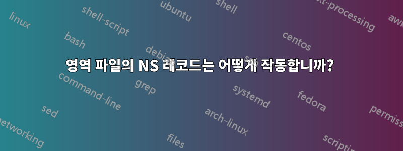 영역 파일의 NS 레코드는 어떻게 작동합니까?