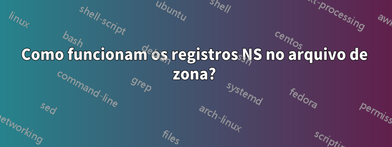 Como funcionam os registros NS no arquivo de zona?