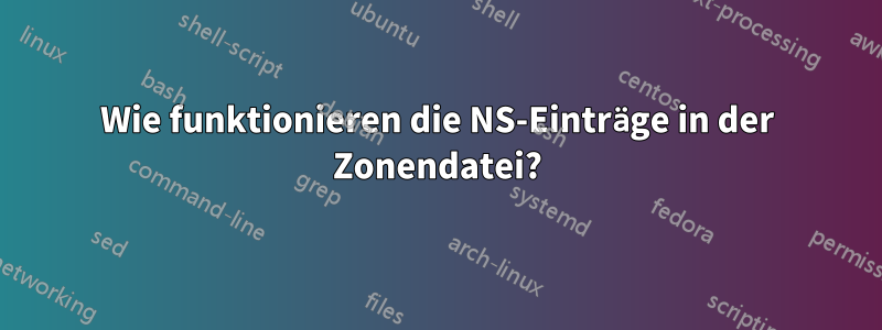 Wie funktionieren die NS-Einträge in der Zonendatei?