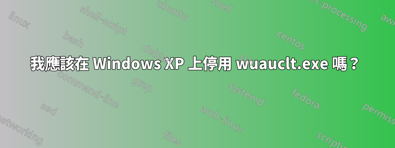 我應該在 Windows XP 上停用 wuauclt.exe 嗎？