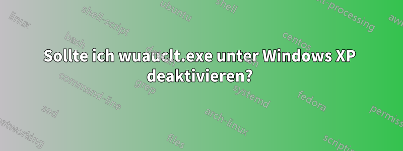 Sollte ich wuauclt.exe unter Windows XP deaktivieren?