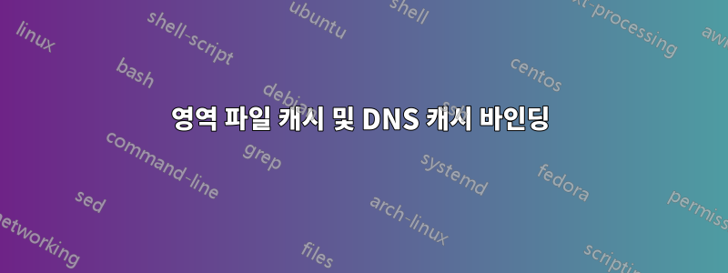 영역 파일 캐시 및 DNS 캐시 바인딩