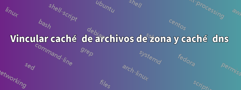 Vincular caché de archivos de zona y caché dns