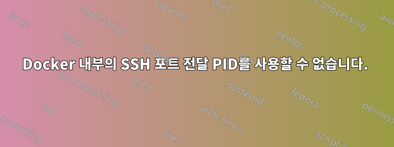 Docker 내부의 SSH 포트 전달 PID를 사용할 수 없습니다.