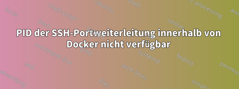 PID der SSH-Portweiterleitung innerhalb von Docker nicht verfügbar