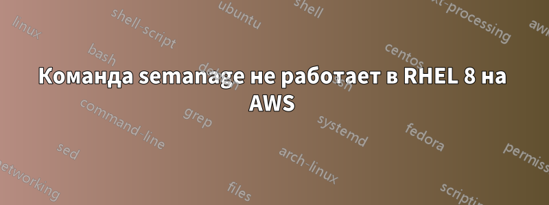 Команда semanage не работает в RHEL 8 на AWS