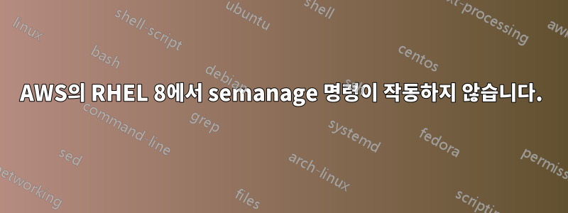 AWS의 RHEL 8에서 semanage 명령이 작동하지 않습니다.