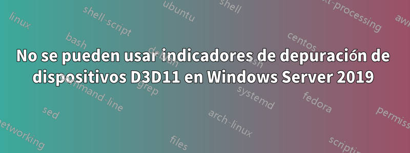 No se pueden usar indicadores de depuración de dispositivos D3D11 en Windows Server 2019