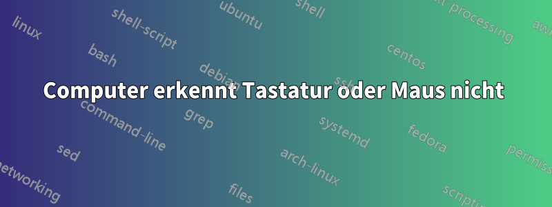 Computer erkennt Tastatur oder Maus nicht