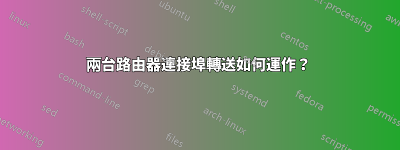 兩台路由器連接埠轉送如何運作？