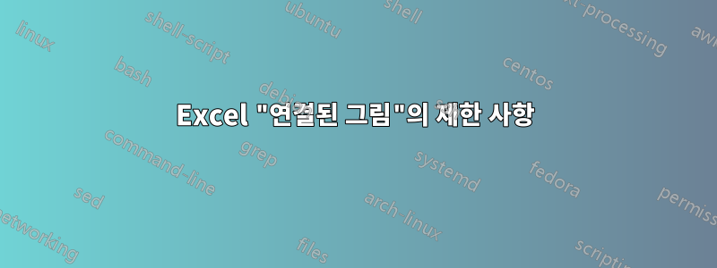 Excel "연결된 그림"의 제한 사항