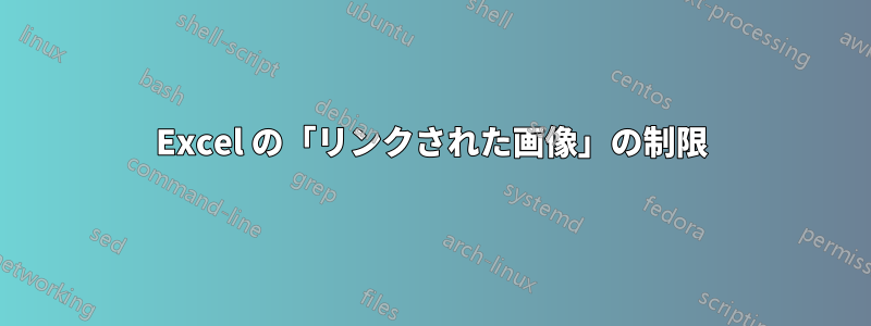 Excel の「リンクされた画像」の制限