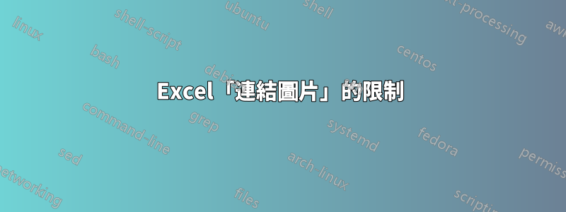 Excel「連結圖片」的限制