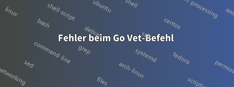 Fehler beim Go Vet-Befehl