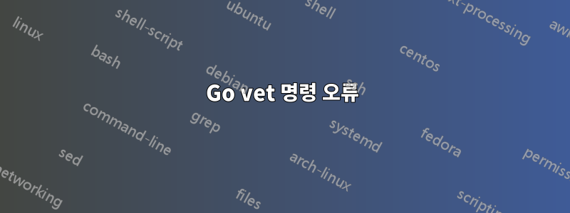 Go vet 명령 오류