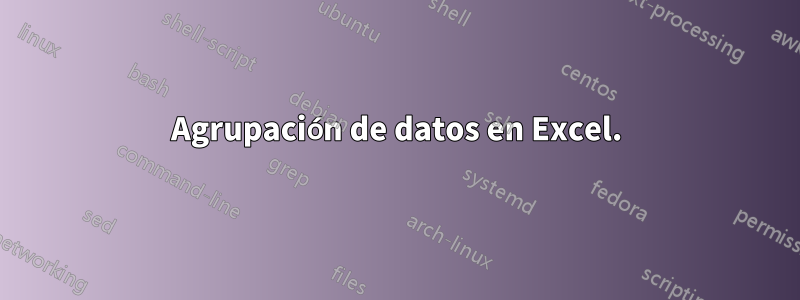 Agrupación de datos en Excel.