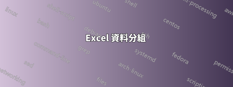 Excel 資料分組