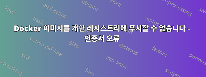 Docker 이미지를 개인 레지스트리에 푸시할 수 없습니다 - 인증서 오류