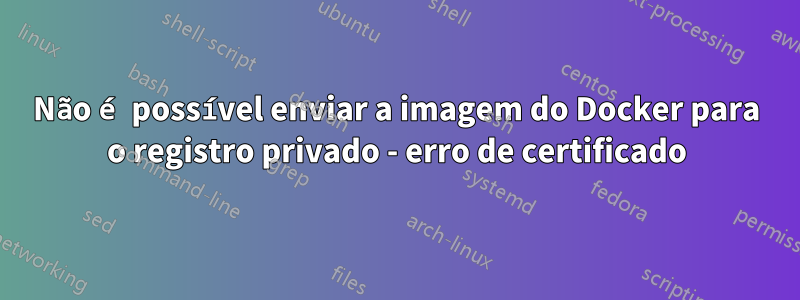 Não é possível enviar a imagem do Docker para o registro privado - erro de certificado
