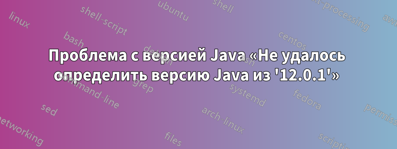 Проблема с версией Java «Не удалось определить версию Java из '12.0.1'»