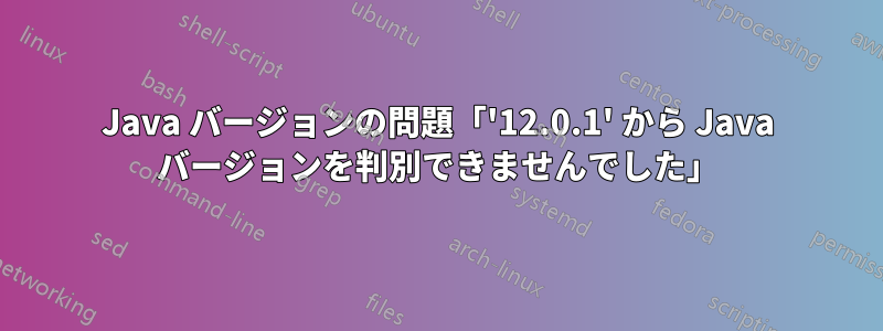 Java バージョンの問題「'12.0.1' から Java バージョンを判別できませんでした」