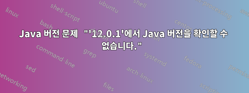 Java 버전 문제 "'12.0.1'에서 Java 버전을 확인할 수 없습니다."